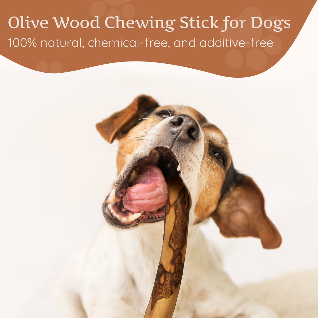 Olive Wood Dog Chew – Natural Chew Stick with Olive Oil