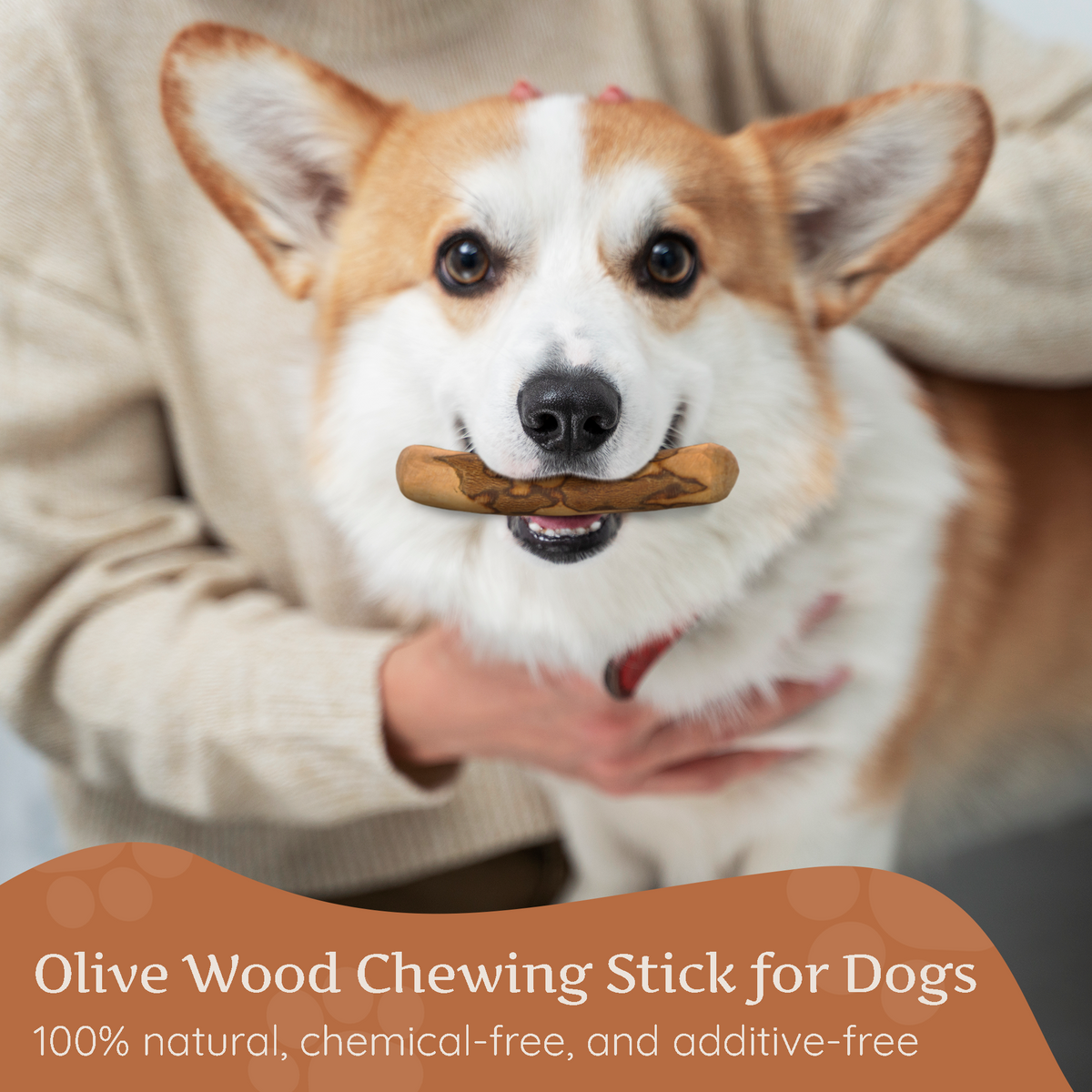 Olive Wood Dog Chew – Natural Chew Stick with Olive Oil
